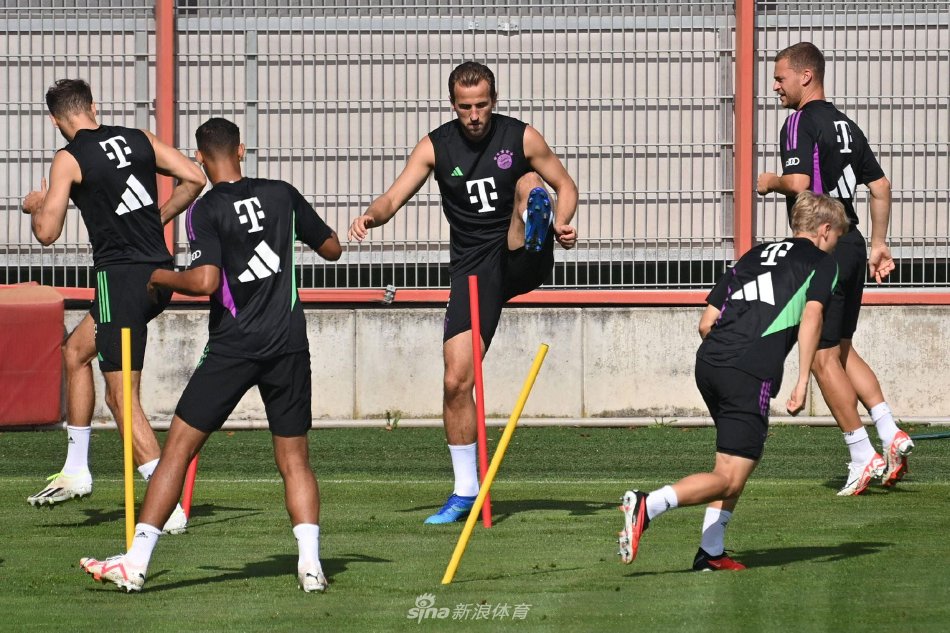 制造麻烦的 制造麻烦的